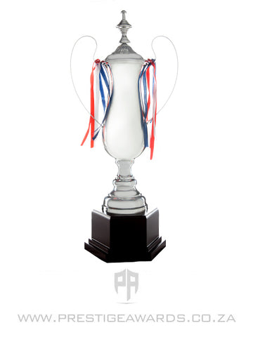 Silver  Value Trophy T0718