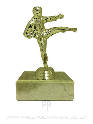 Karate Trophy (Male)