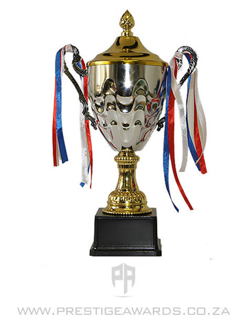 Silver and Gold Value trophy T0709 Range