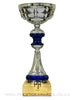 Silver and Blue Value trophy T0505 Range