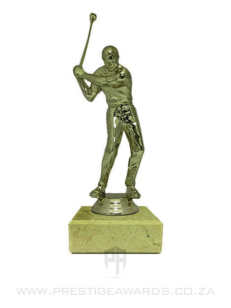 Golfer Backswing Male Award