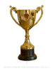 Gold Poly Cup