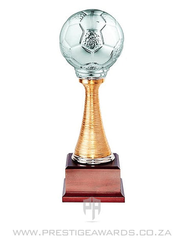 Soccer Ball Trophy