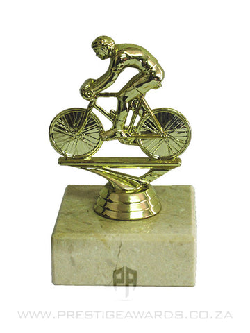 Cycling Miniature Award