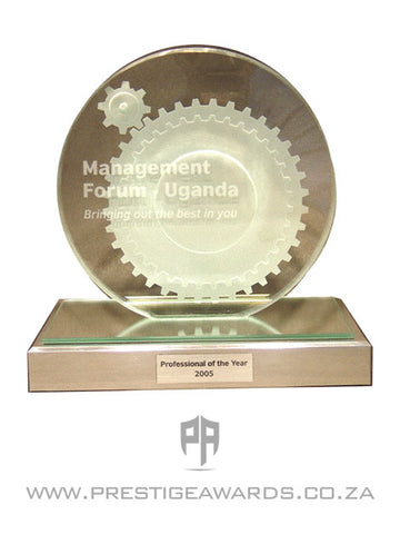 Custom Sandblasted Glass Trophy