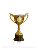 Gold Poly Cup