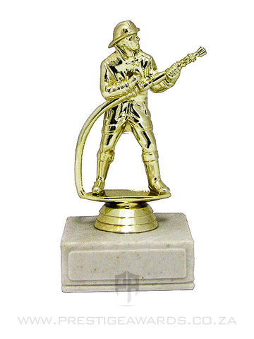Fireman Award
